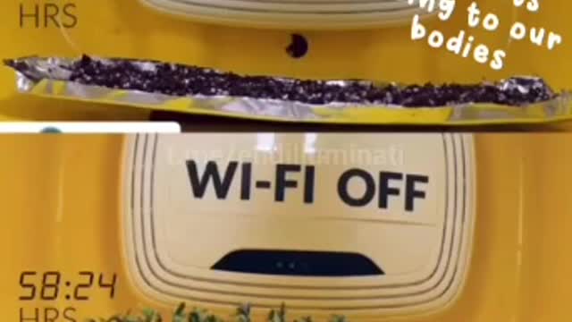 Las maravillas del wifi