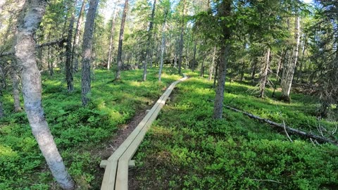 Boardwalking