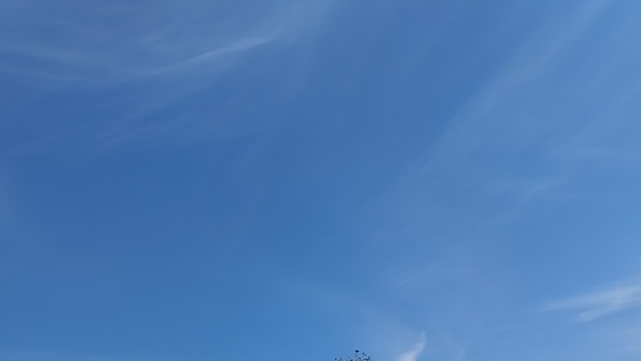 Natural view