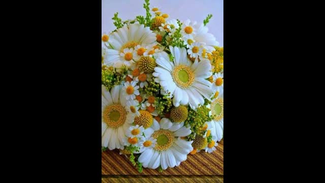 Sleep Relaxing Music for Stress Relief ~ Calming Music ~ Meditation
