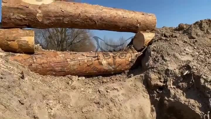 Kyiv region trenches of the Armed Forces of Ukraine