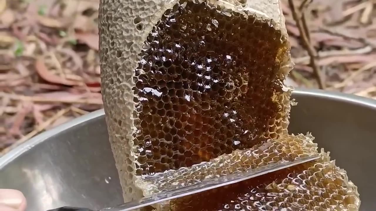 pure fresh honey #honey #shortvideo #nature