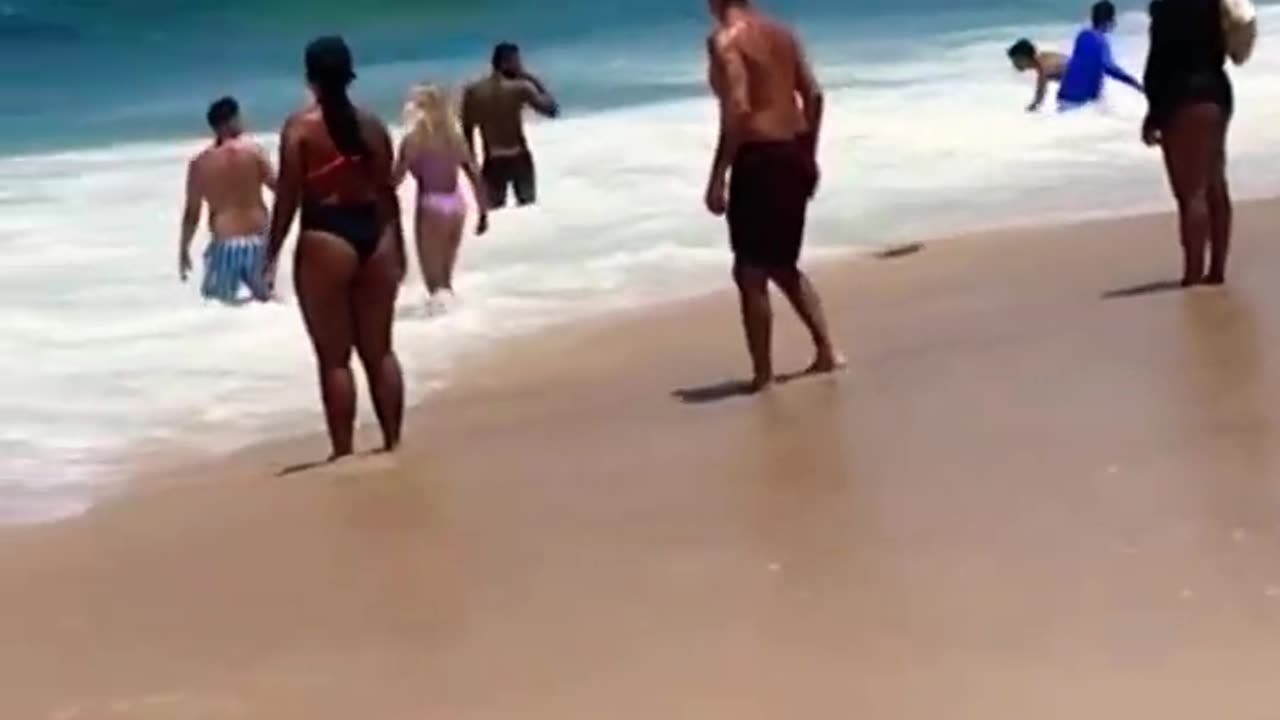 Must See ! Canary Beach Paradise 🏖☀️
