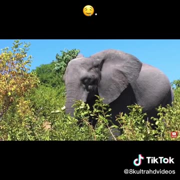 Gr liton Natural Clips, Natural Video Clips # - 92