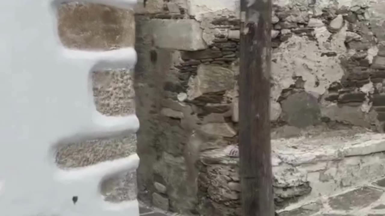 The End 😂😂😂 #viral #shorts #reels #funny #fails