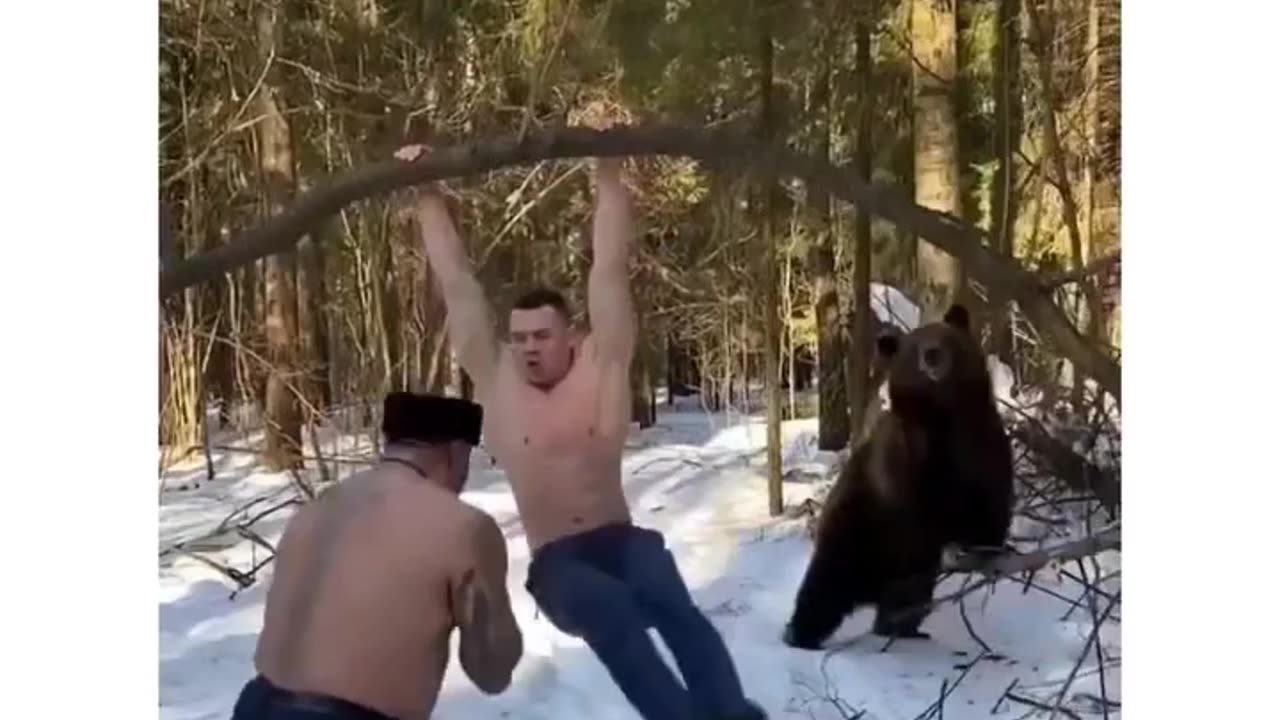 Unbelievable Strength: Two Humans Take on Bear in Jaw-Dropping Workout Challenge