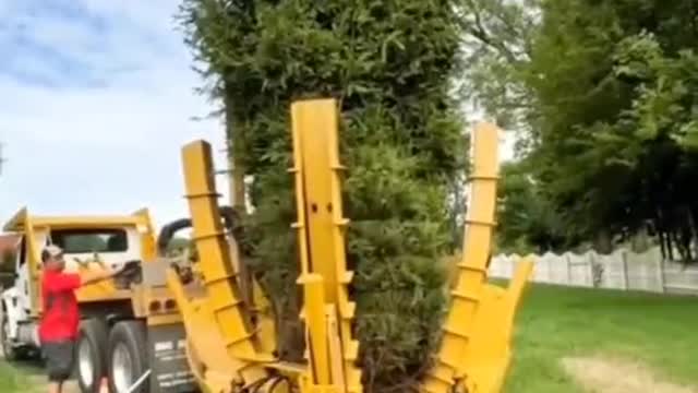 Fully intelligent tree planting machine