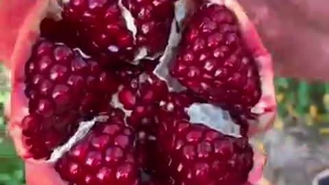 Satisfying Pomegranate cutting #farming #