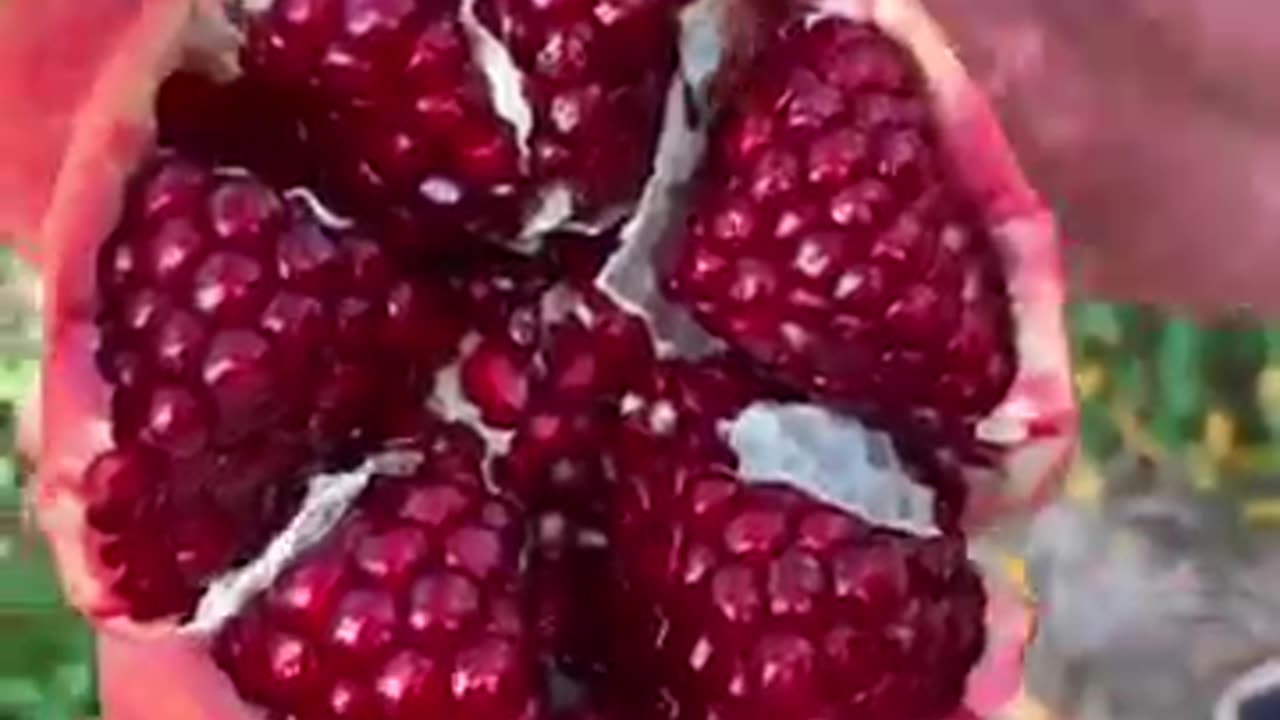 Satisfying Pomegranate cutting #farming #