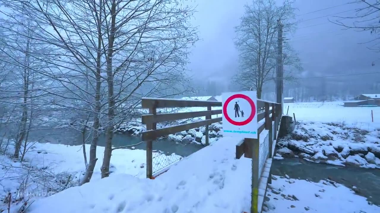 "Lauterbrunnen, Switzerland Snowfall Walk: River Stroll Along Weisse with Serene Nature Sounds"