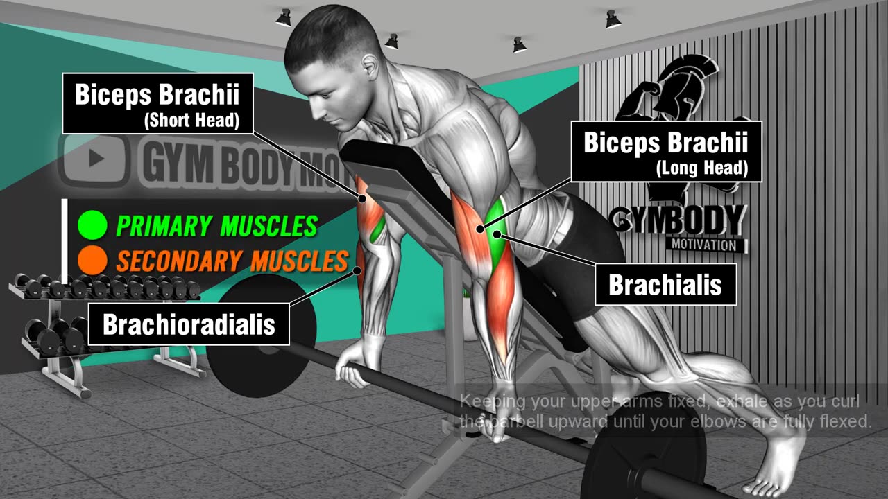 8_best_exericrses_for_bigger_Arms_triceps_workout_720hd