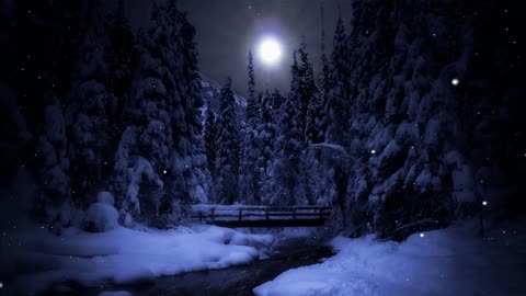 Lt Music, is a channel dedicated to a new concept of varied music