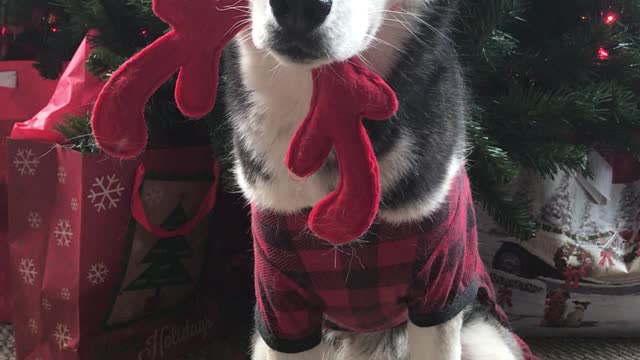 Getting Into The Holiday Spirit