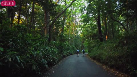 Shibuya After Dark: A Cinematic Walking Nighttime Expedition