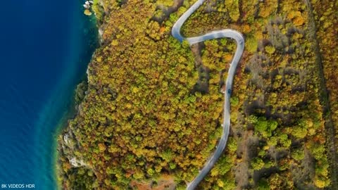 Un'erba è una vita, un fiore è un paesaggio