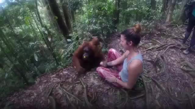 Ape Grabs Young Woman & Refuses To Let Go 😱🦧_Cut