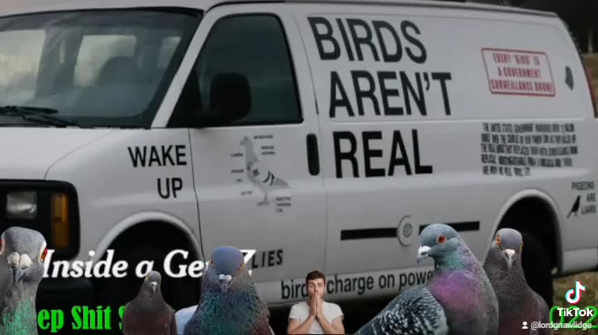 Are birds real?