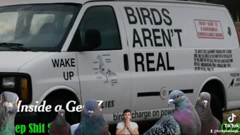 Are birds real?