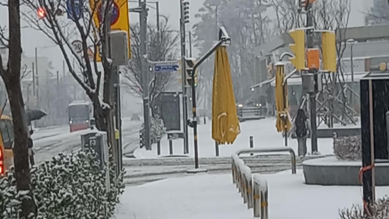 SnowFall