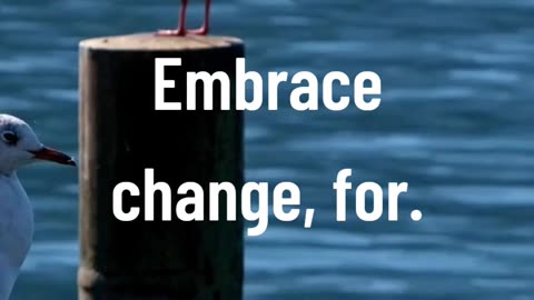 Embrace change, for