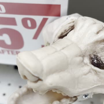 Dog skeleton Halloween