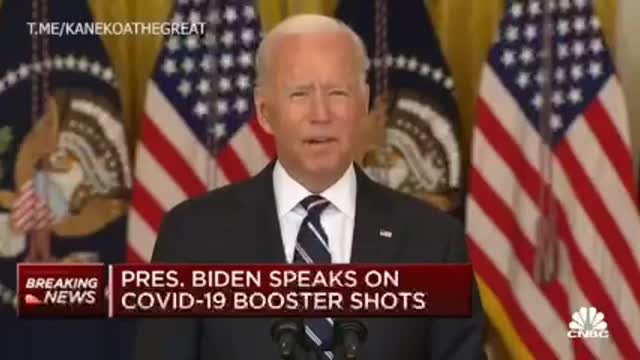 Lie after lie, after lie, after lie....