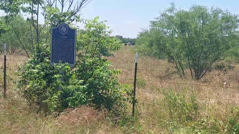 BUCKSNORT, Texas Town-Historical