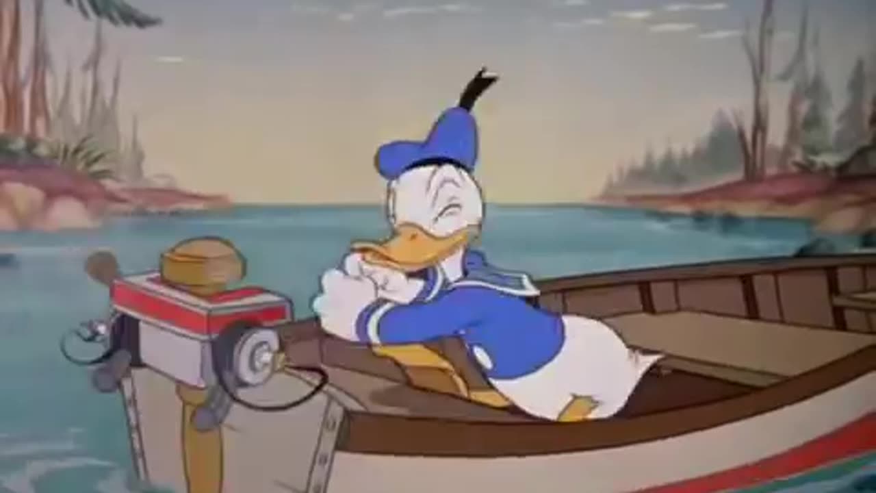 Duck cartoon