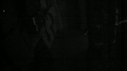 3143RHOBG4-15Treehouse_2021-01-05_02h00min01s793ms.mp4