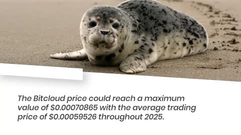 Bitcloud Price Prediction 2023, 2025, 2030 BTDX Cryptocurrency Price Prediction