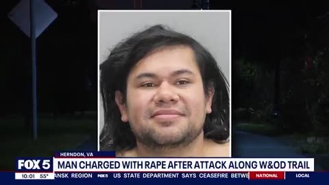 Illegal with a history of s*x crimes arrested for raping a woman in public in