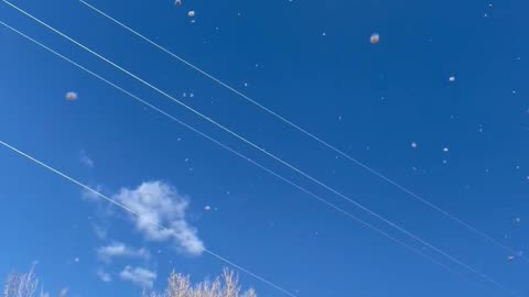 Tornado of Tumbleweeds