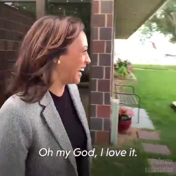 Harris sees her campaign bus for the fist time