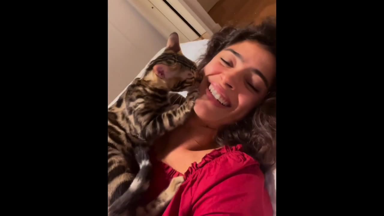 Most incredible funniest video 2024