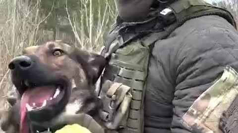Ukrainian Soldier and His Dog
