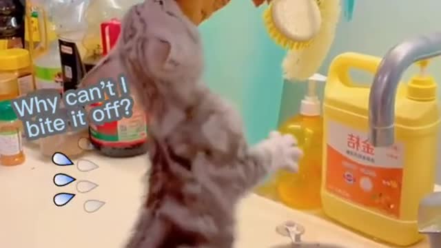 Thisistoodifficulttobite.