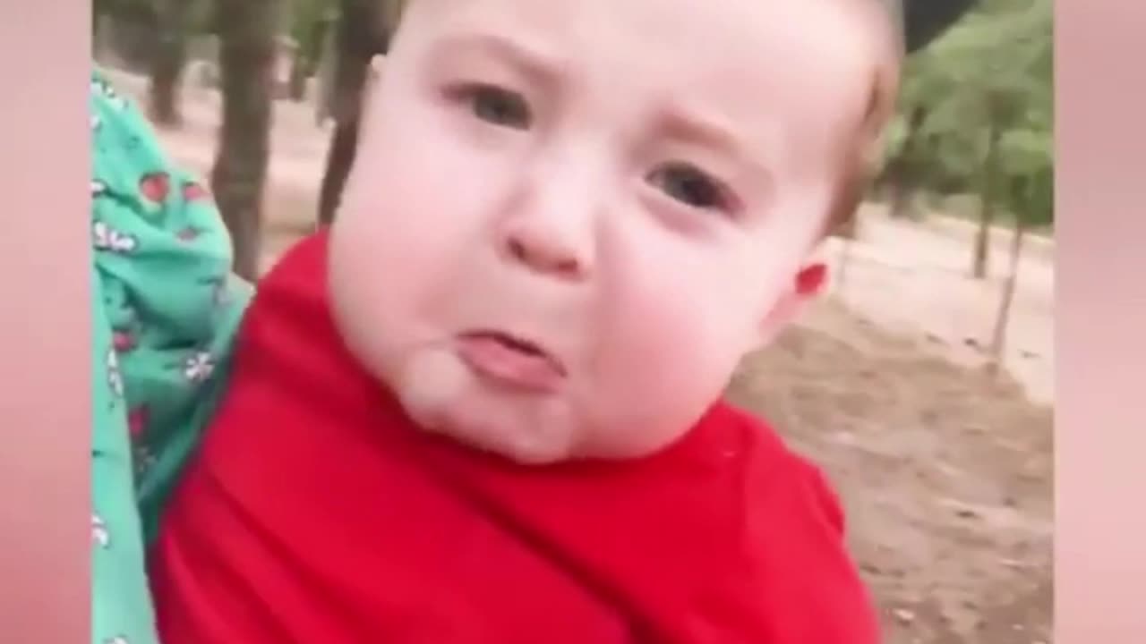 #cute #cutebaby #funny #funnybabies #funnyanimals #comedy