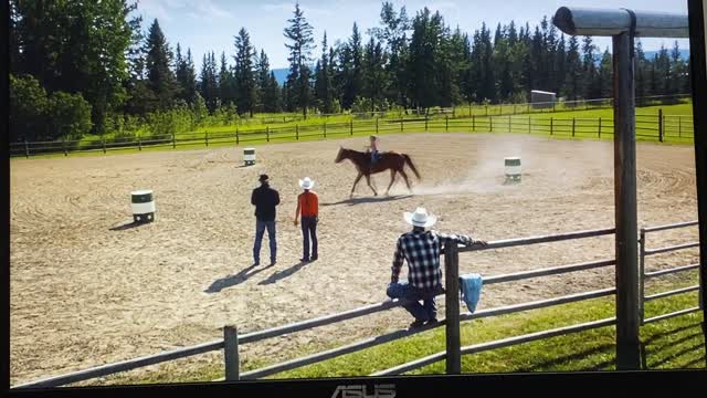 Heartland 16X8 Lyndy Riding The Barrel Horse