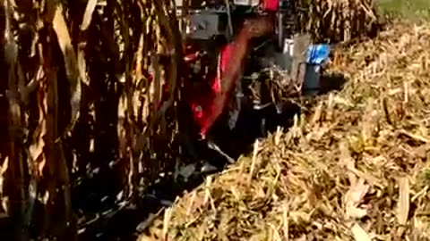 Agricultural Technician Corn Harvester