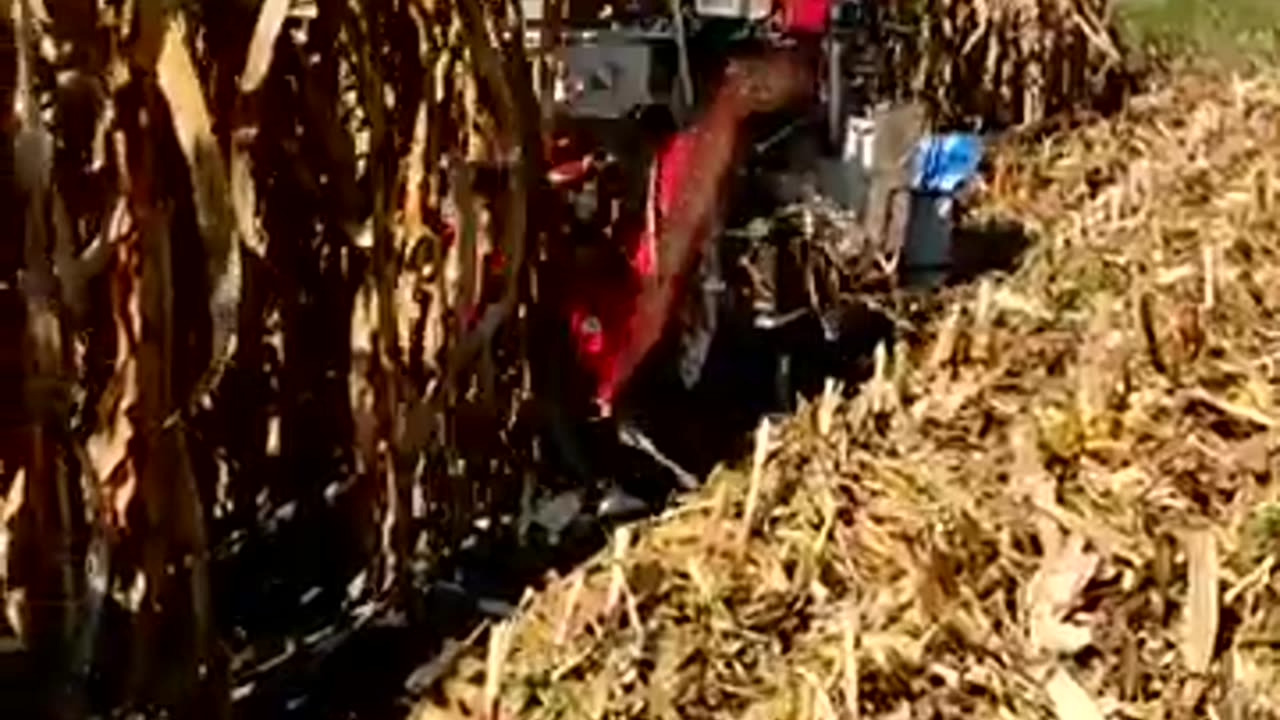 Agricultural Technician Corn Harvester