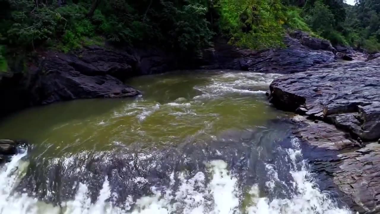 THE KALI #kali #nature #river