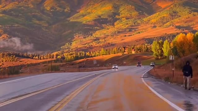 driving into a sea of ​​gold in Colorado 🍂