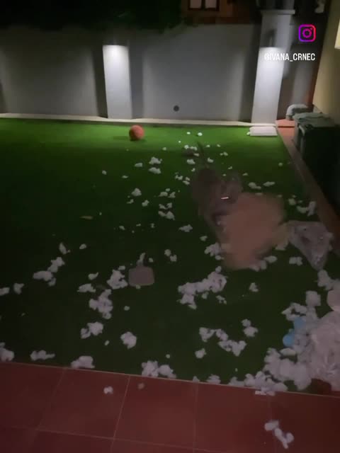 Late Night Fun (Shenanigans)