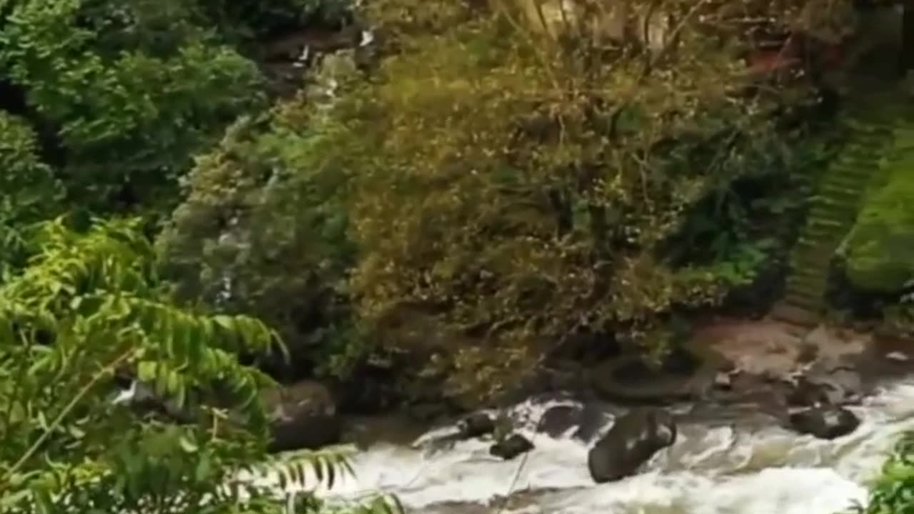 हर हर मार्लेश्वर 🙏🏼