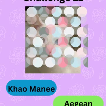 Purrfect Pets Quiz My Furry Friends Challenge 11