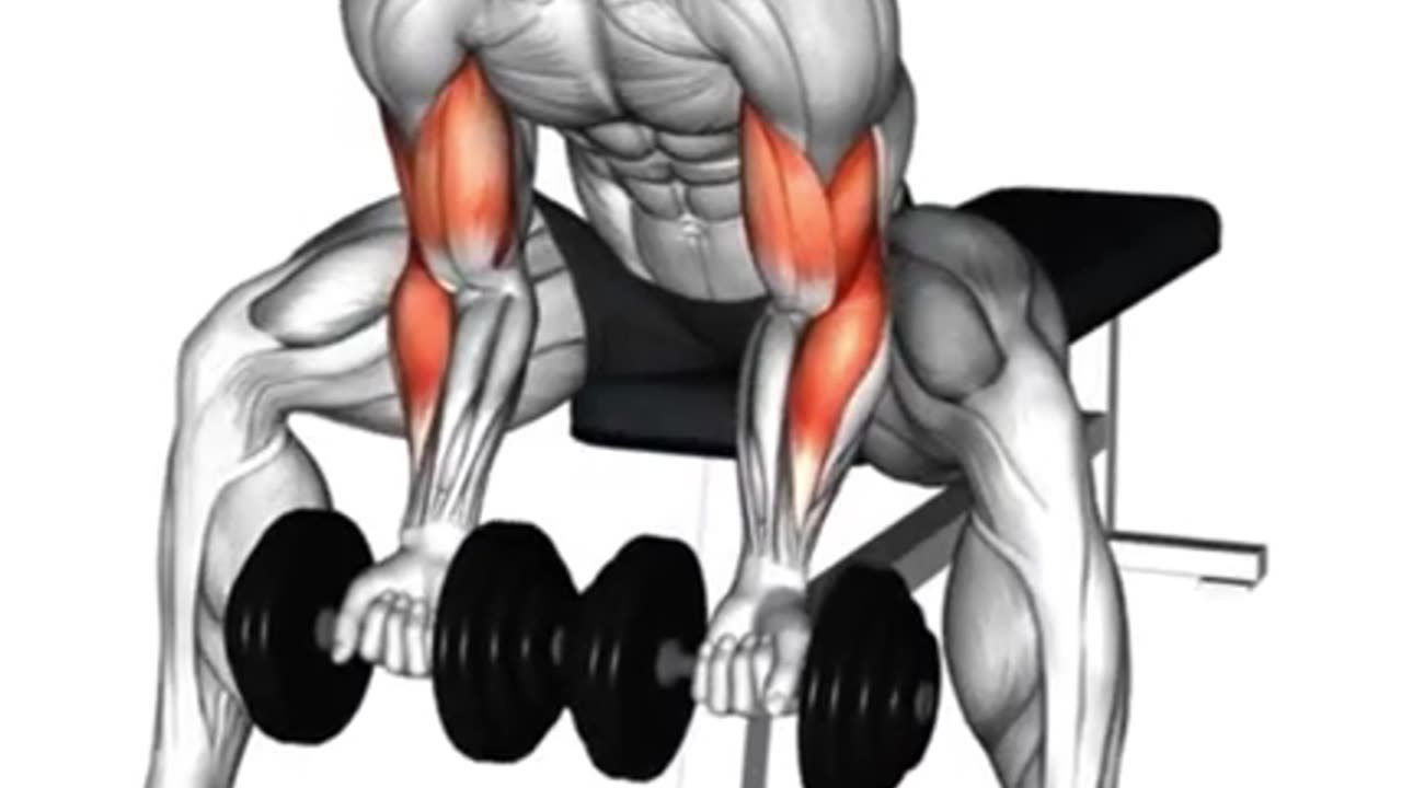 Dumbbell Biceps Exercises #bicepsworkout #dumbbellexercises #armday #fitnessgoals #shorts #short