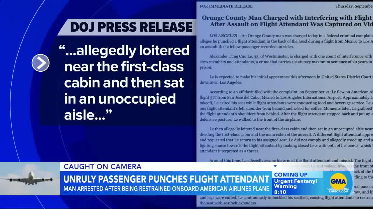 Airline passenger arrested for punching flight attendant l GMA