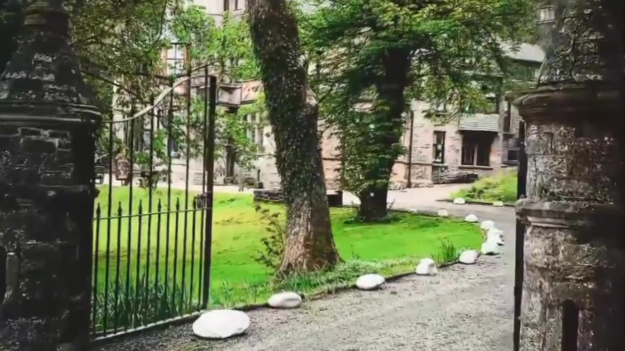 what a view with raining