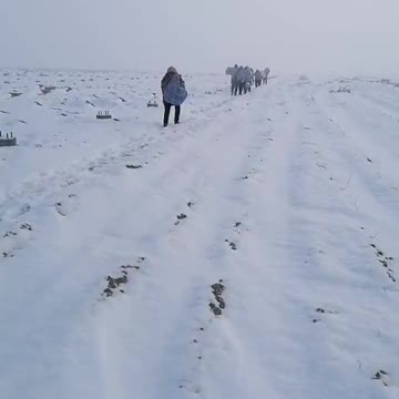 China Migrant Workers In China Walk Over 1,000 Miles After Covid QR Code Turns Yellow