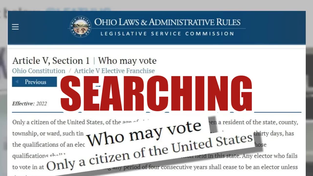 Fact Check: Non-US Citizens CANNOT Get Driver's Licenses And Use That To Vote In 2024 Election